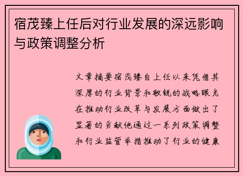 宿茂臻上任后对行业发展的深远影响与政策调整分析