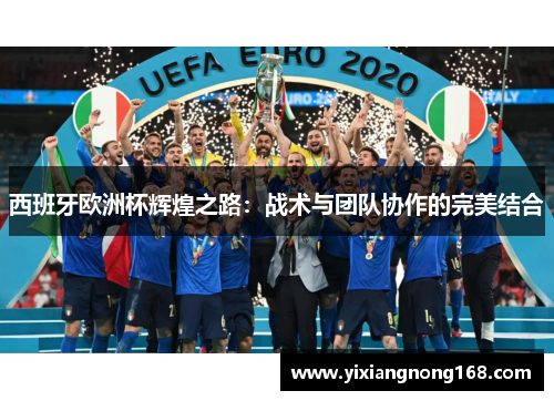西班牙欧洲杯辉煌之路：战术与团队协作的完美结合