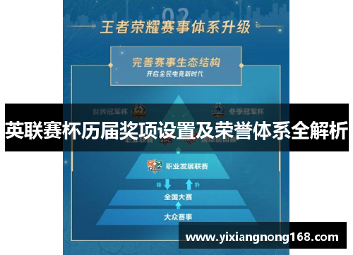 英联赛杯历届奖项设置及荣誉体系全解析 英联赛杯历届奖项设置及荣誉体系全解析