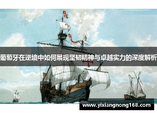 葡萄牙在逆境中如何展现坚韧精神与卓越实力的深度解析