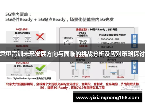 意甲青训未来发展方向与面临的挑战分析及应对策略探讨
