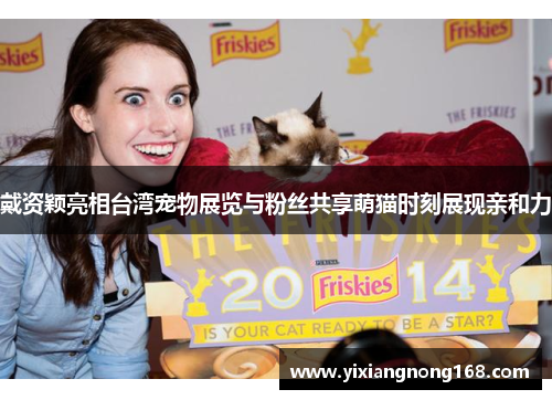 戴资颖亮相台湾宠物展览与粉丝共享萌猫时刻展现亲和力