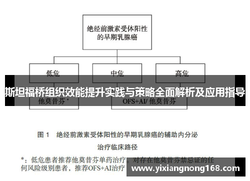 斯坦福桥组织效能提升实践与策略全面解析及应用指导 斯坦福桥组织效能提升实践与策略全面解析及应用指导